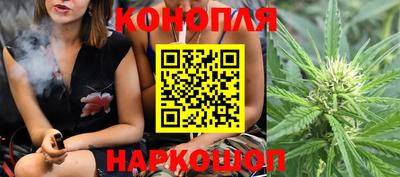 стафф Краснознаменск